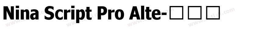 Nina Script Pro Alte字体转换